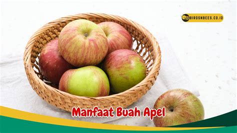 6 Manfaat Buah Apel Untuk Kesehatan Ampuh Kurangi Kadar Kolesterol