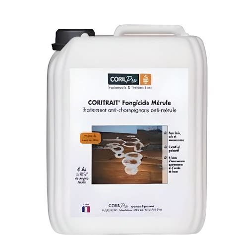 Produit de traitement CORIL CORITRAIT Fongicide Mérule 6kg