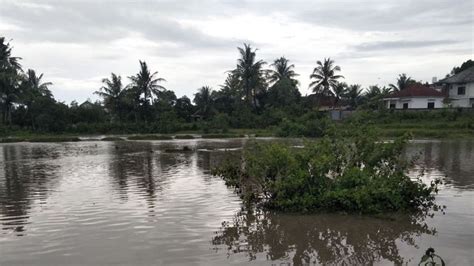 Sungai Meluap Ratusan Rumah Warga Di Lombok Tengah Kebanjiran