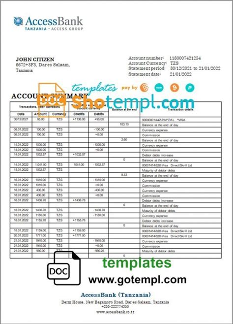 Tanzania Access Bank Statement Template In Word And PDF Format