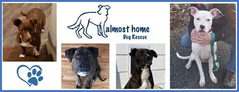 Almost Home Dog Rescue