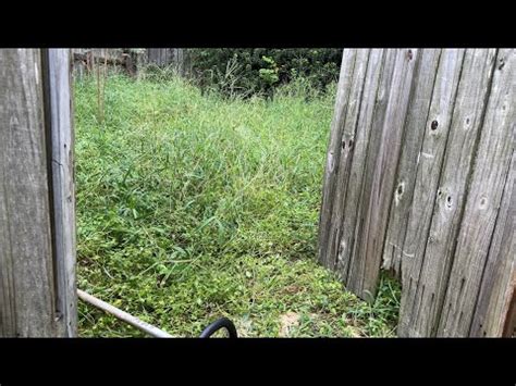 Overgrown Yard Cleanup YouTube