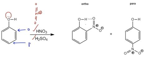 Eas Ortho Vs Para Positions Organic Chemistry Video Clutch Prep