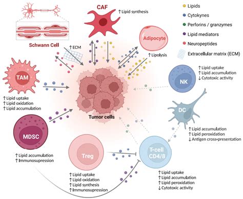 Cell Metabolism：脂质在癌症进展和转移中的作用 中科脂典