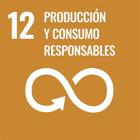 Ods 12 Garantizar Modalidades De Consumo Y Producción Sostenibles