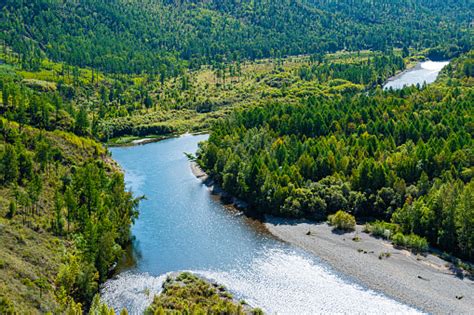 Tikungan Dasar Sungai Di Antara Hutan Hijau Lembah Sungai Foto Stok