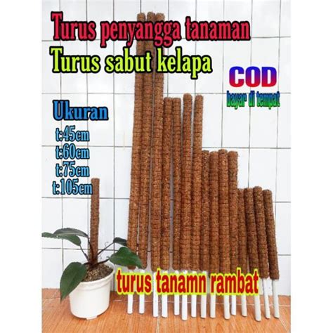 Jual Tiang Turus Penyangga Tanaman Tiang Turus Serabut Kelapa Tiang