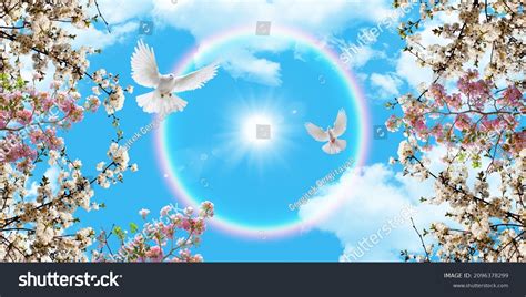 118 Spring Branches And Flying Doves In Sunny Sky Background 图片、库存照片和矢量