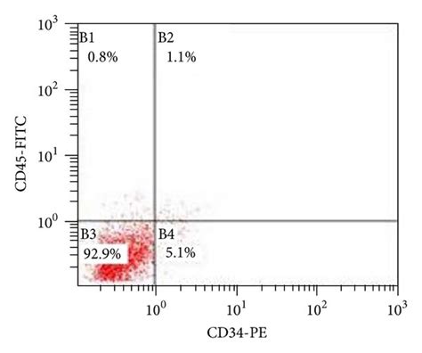 Hucb Msc Cell Surface Markers Were Characterized By Flow Cytometry A