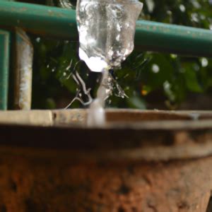 Cuanto Tarda En Congelarse El Agua Como Vivir Del Cuento