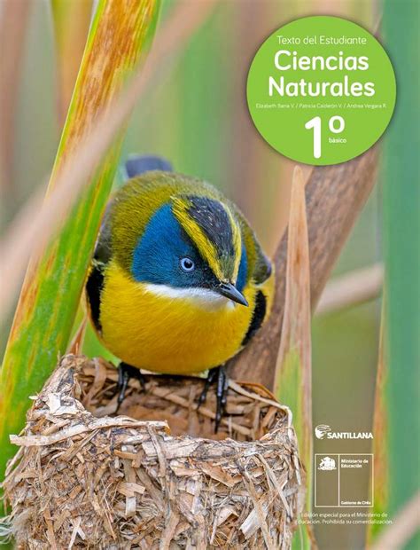 Libro De Ciencias Naturales 1 Basico 2025 Pdf Chile 】