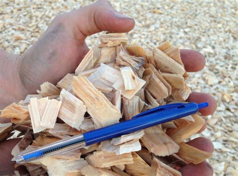 Eucalyptus Wood Chips Izol Wood Eco Friendly Wood Products