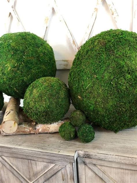 Moss Ball Decor Moss Ball Decorative Moss Balls Decorative Balls For