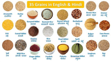 35 Grains Names In English Hindi Grains Vocabulary English