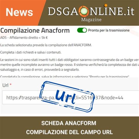 Compilazione Del Campo Nella Scheda Anacform Associazione Dsga Online