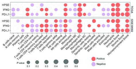 Hpse Expression In Different Molecular Subtypes Of Crc And Its Download Scientific Diagram