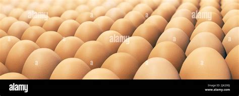 Lots Of Brown Chicken Eggs In Panorama Format Stock Photo Alamy