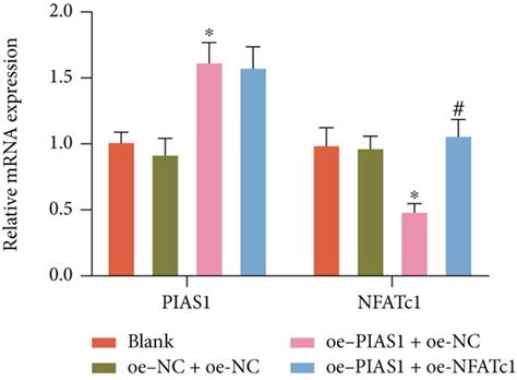 The Effect Of PIAS1 On NFATc1 SUMOylation And The Inflammatory Response