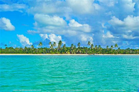 Oltre Le Spiagge Le Barriere Coralline Piu Belle Del Mondo Dai