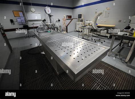 Morgue médico forense autopsia fotografías e imágenes de alta