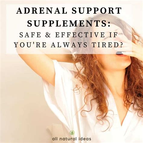 Adrenal Support Supplements Effective For Fatigue All Natural Ideas