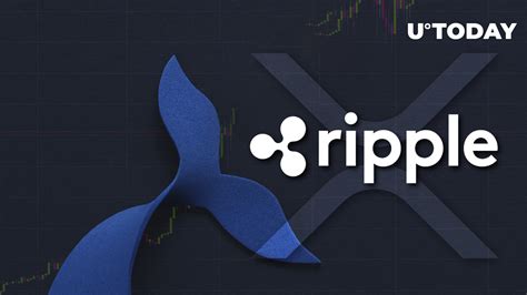 288 Million XRP Wired By Ripple And Whales As XRP Briefly Rises 11 73