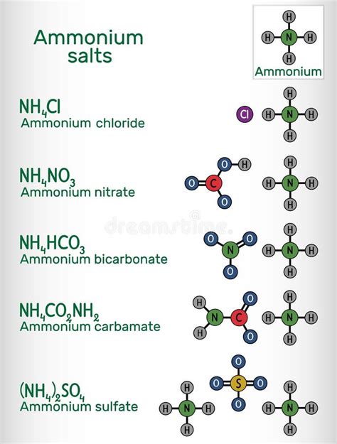 Ammonium Salts Ammonium Bicarbonate Ammonium Carbamate Ammonium