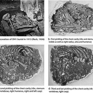 Map of Olduvai Gorge showing the location of the Olduvai Hominid 1... | Download Scientific Diagram