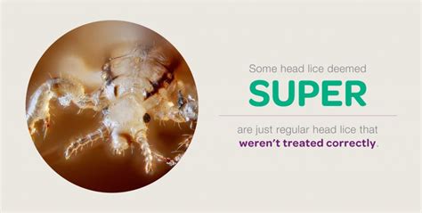 Invasion of the Super Lice | The Daily Dose | CDPHP Blog