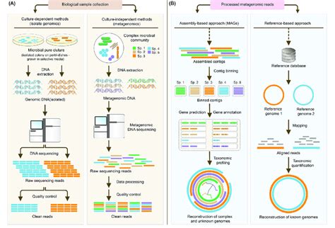 Metagenomic Surveillance Uncovers Diverse And Novel Viral Off