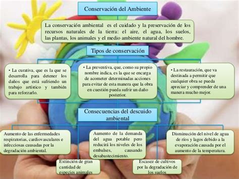 Mapa Arbol Conceptual De La Conservacion Del Medio Ambiente