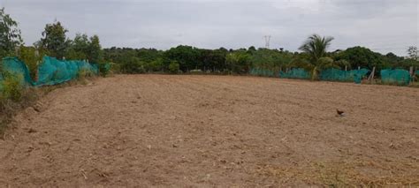 Agricultural Land Cent For Sale In Shoolagiri Krishnagiri Rei