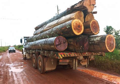 Pol Cia Ambiental Apreende Caminh O Carregado De Madeiras Ilegais