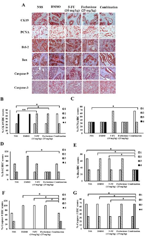 Expression Changes Of Proteins Associated With Epithelial Bile Duct