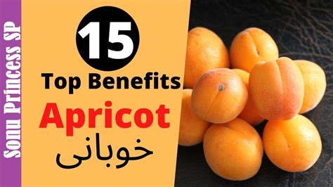 15 Top Benefits Of Apricot Urdu خوبانی کے فائدے Food Expert Youtube