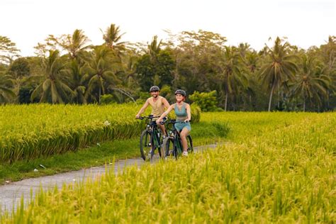 Ubud Rice Terrace Villages E Bike Tour Getyourguide