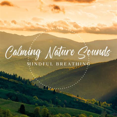 Calming Nature Sounds Mindful Breathing Zen Meditation And Relaxing