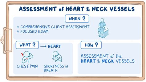 Physical Assessment Heart And Neck Vessels Nursing Osmosis Video