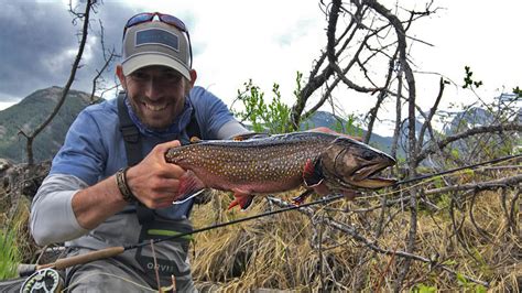 Brook Trout Lakes Out Fly Fishing