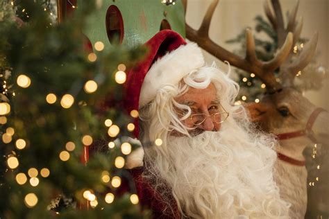 Christmas at Hertfordshire Zoo | Hertfordshire Zoo