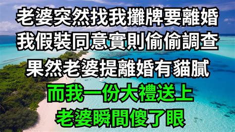 老婆突然找我攤牌要離婚，我假裝同意實則偷偷調查，果然老婆提離婚有貓膩，而我一份大禮送上，老婆瞬間傻了眼！【一濟說】落日溫情情感故事花開富