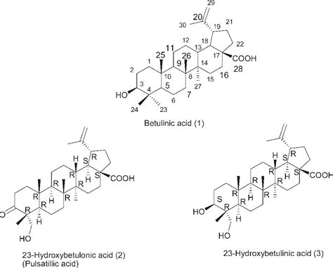 Figure 1 From A Partial Synthesis Of 23 Hydroxybetulonic Acid And 23