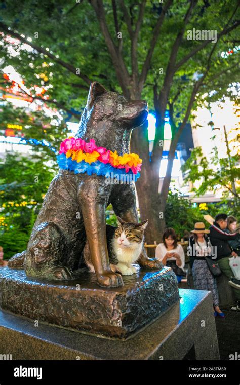 Hachiko Monument View Of Bronze Statue Of Hachiko At Shibuya Station