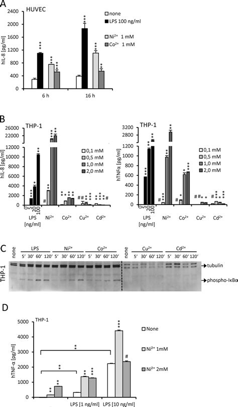 Nickel And Cobalt Trigger Cytokine Production And Phosphorylation Of