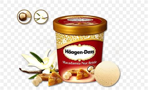 Ice Cream Pizza Praline H Agen Dazs Png X Px Ice Cream Caramel