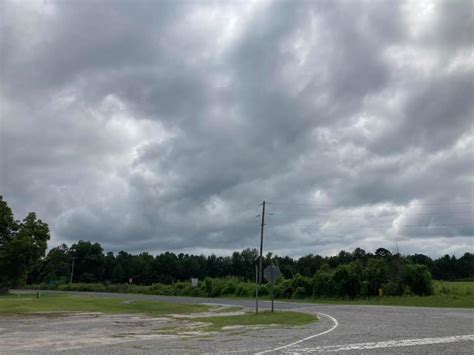 Colleton State Park Parks Guidance
