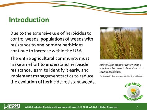 Current Status Of Herbicide Resistance In Weeds Cotton Incorporated