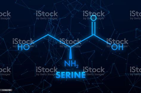 Serine Formula Serine Or Lserine Ser S Amino Acid Molecule Stock Illustration Download Image