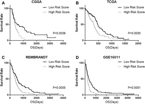 The Performance Of The Risk Score In Databases The Overall Survival Of