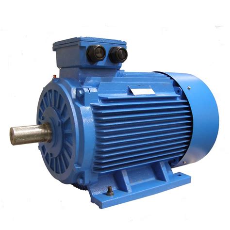 electric motor japan marine group